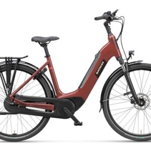 BATAVUS Altura E-Go Power Pro N5, Mahonierood