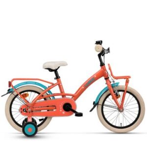 LOEKIE Prinses 16" Pink, Roze-turquoise